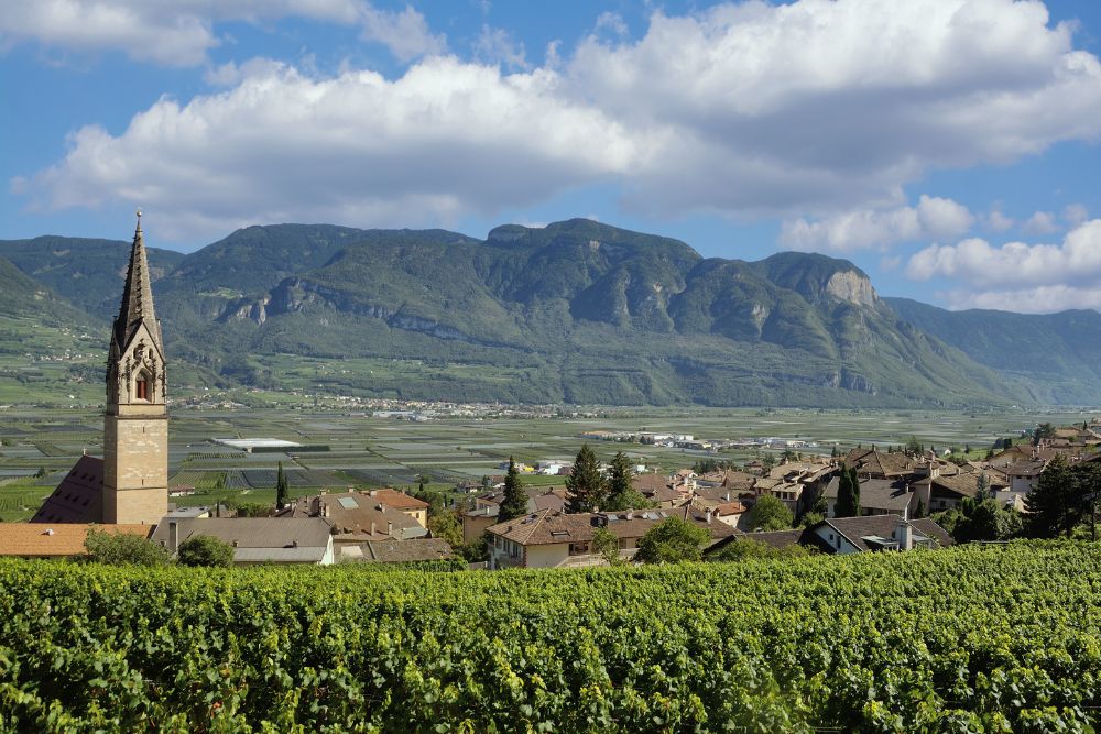 vini del Trentino