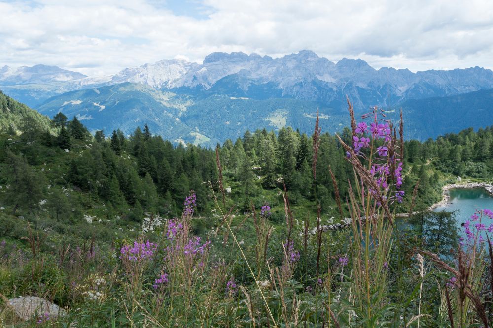 Ferragosto in trentino